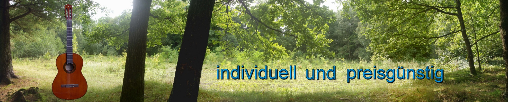 Gitarrenunterricht in Neuss A. Hertel